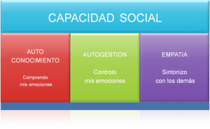 CAPACIDAD SOCIAL